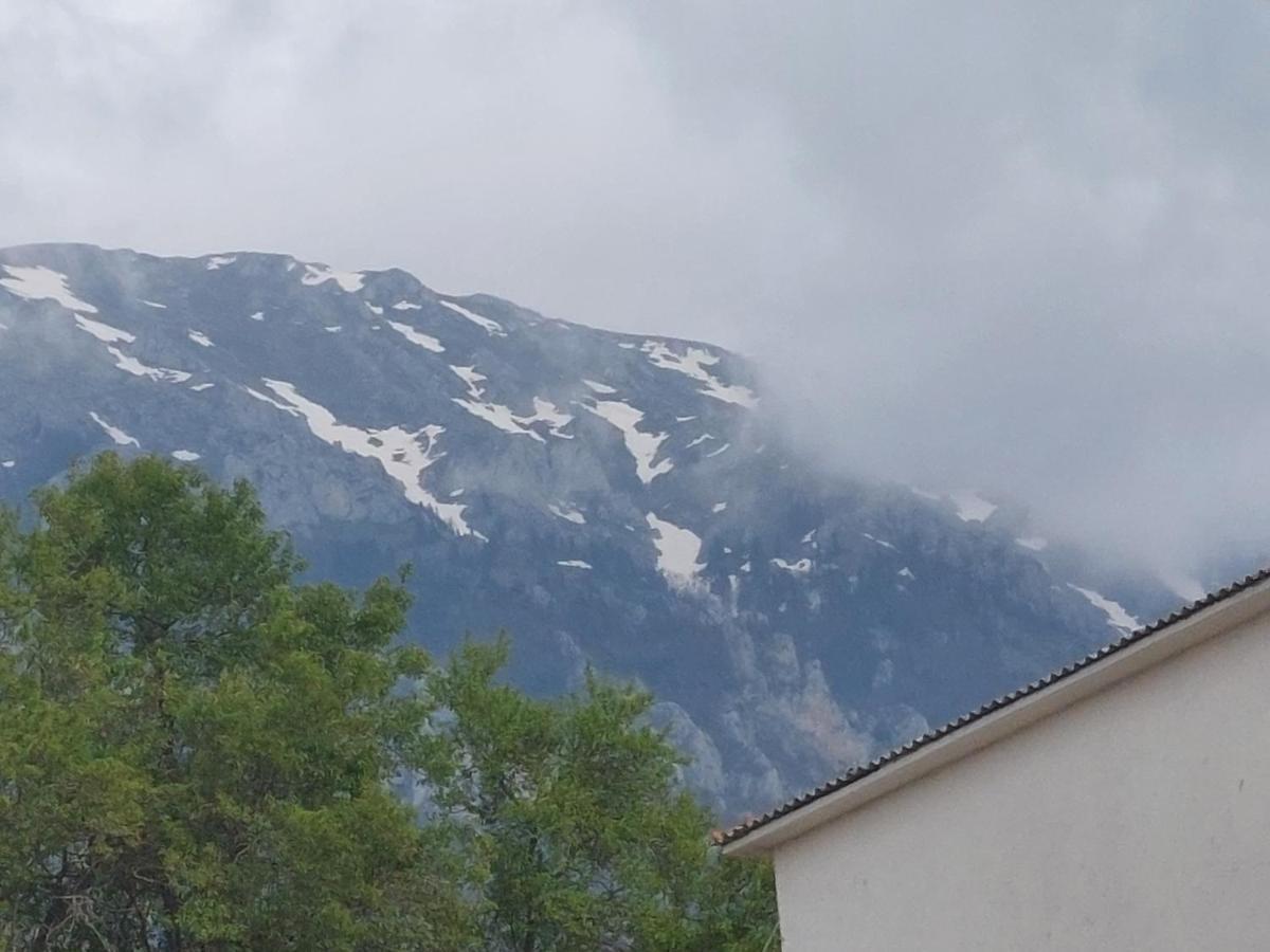 Mateski Guest House Ohrid Exterior photo